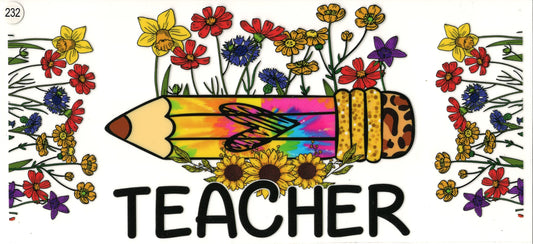 232 Occupation Teacher