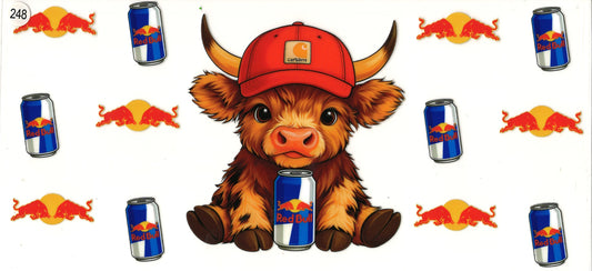 248 Drink Highland Cow