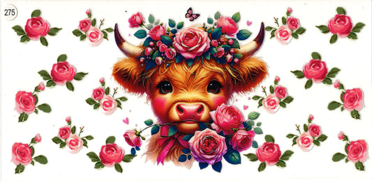 275 Animal Cow Roses