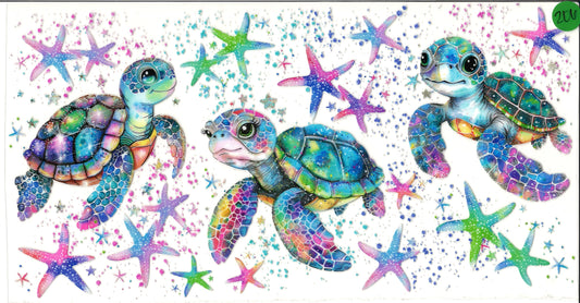 Animal Sea Turtles